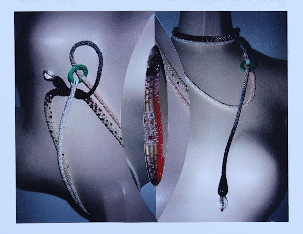The Seed is the Synthesis by Audra Skuodas