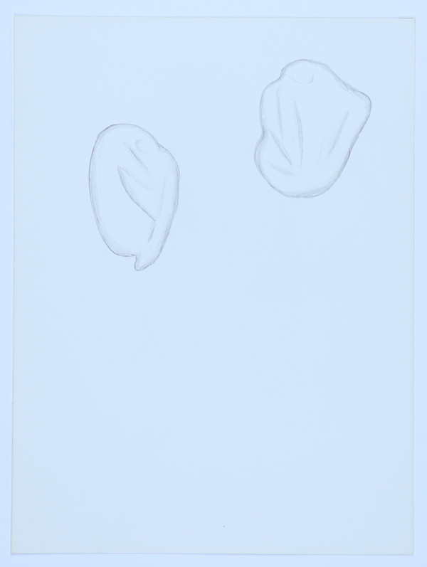 Untitled by Audra Skuodas