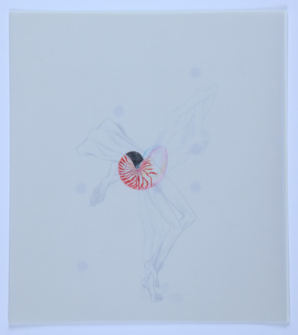 Untitled by Audra Skuodas