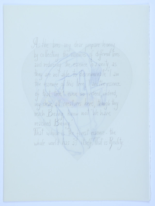 Untitled by Audra Skuodas