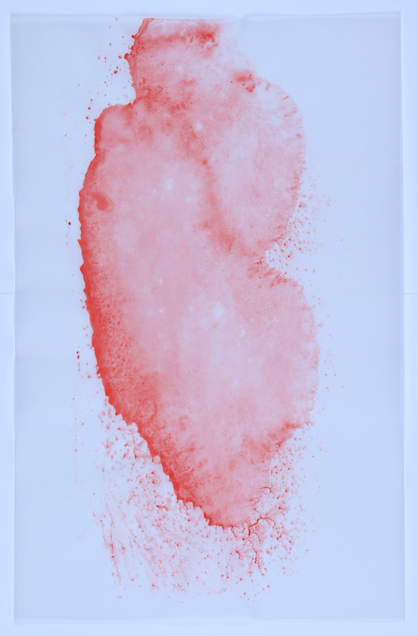 Untitled by Audra Skuodas