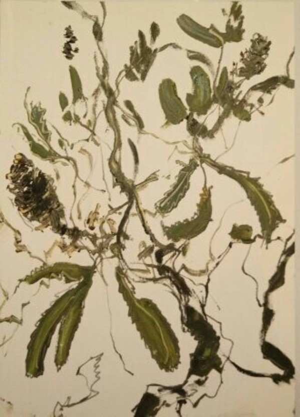 Banksia Pod by Gillian Hughes
