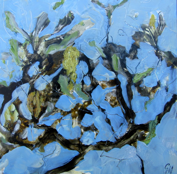 Blue Sky Banksia 1 by Gillian Hughes