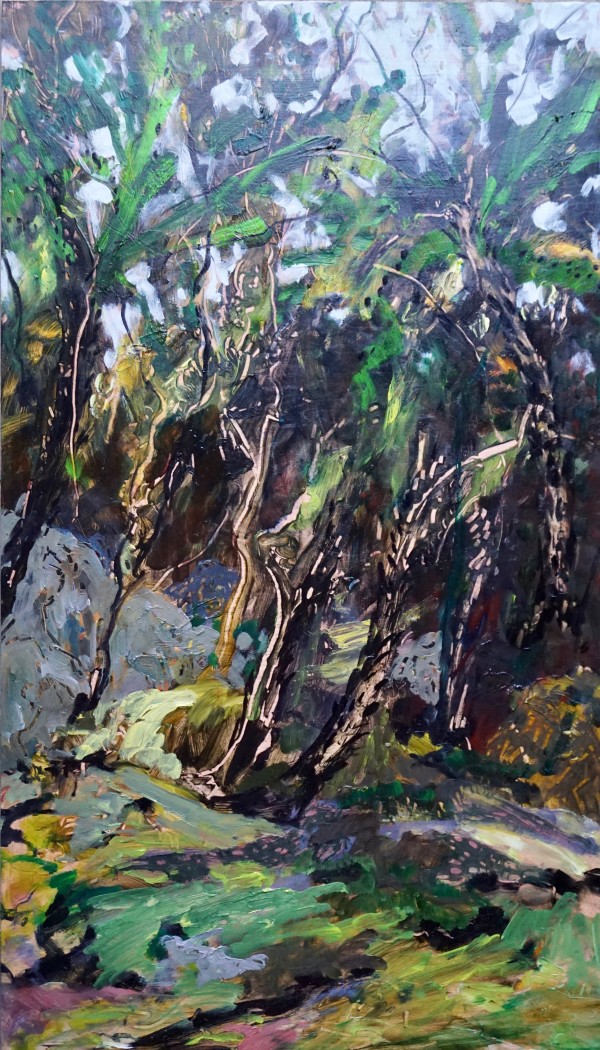 Tree Ferns by Gillian Hughes