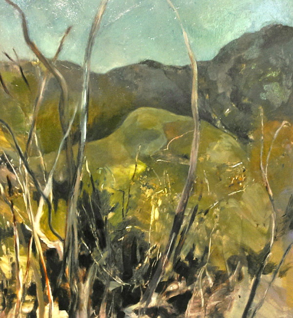 The Hills at Midday by Gillian Hughes
