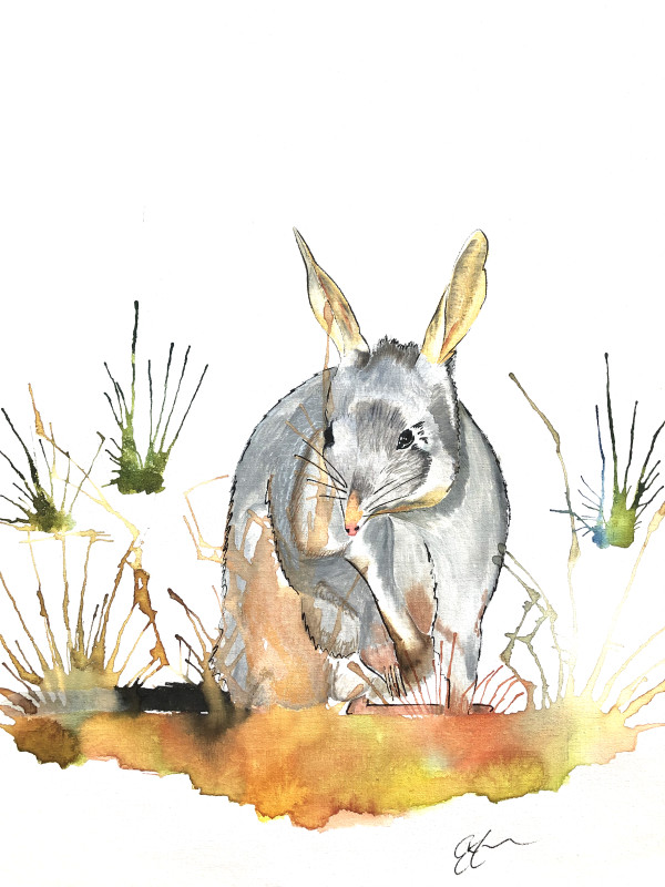 Aussie Bunny by Elizabeth Cooper