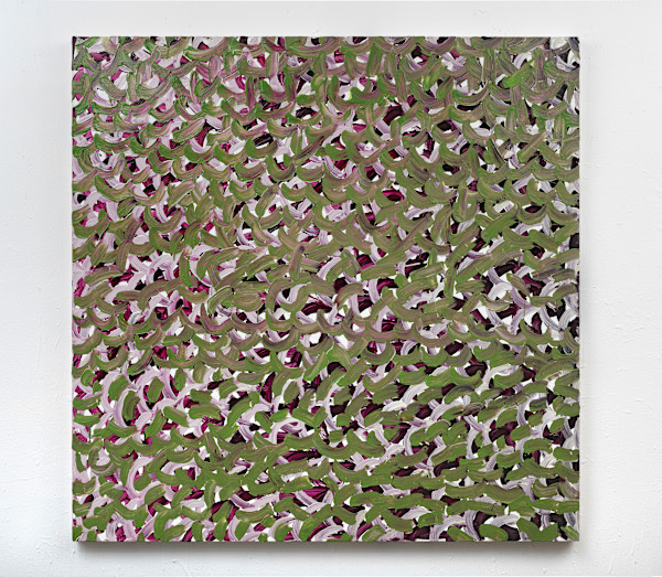Purple_green_white_rose