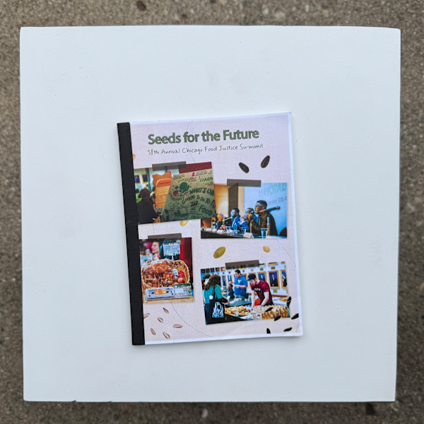Seeds for the Future: 18th Annual Chicago Food Justice Summit by Alexandria Knapik