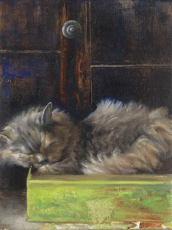 Riley - cat by Michaelann Bellerjeau
