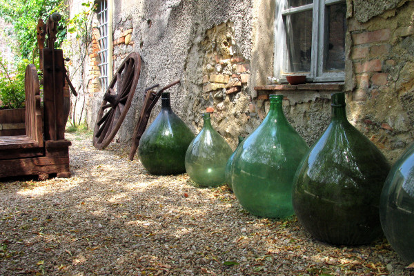 Vineyard Bottles, San Donato, Italy by Barbara French Pace