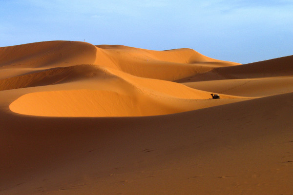 Desert Solitude, Morocco by Barbara French Pace