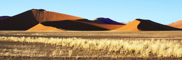 Dune Panorama in Early Light, Namibia by Barbara French Pace