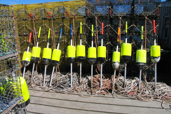 Lobster Buoys Ready at the Ready, Maine by Barbara French Pace