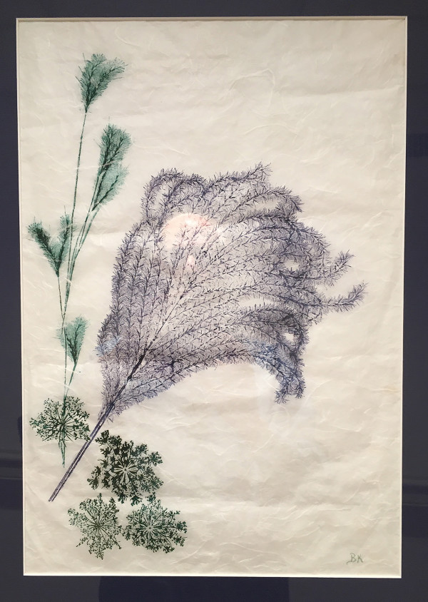 Japanese Fern and Weeds by Bunty Ketcham