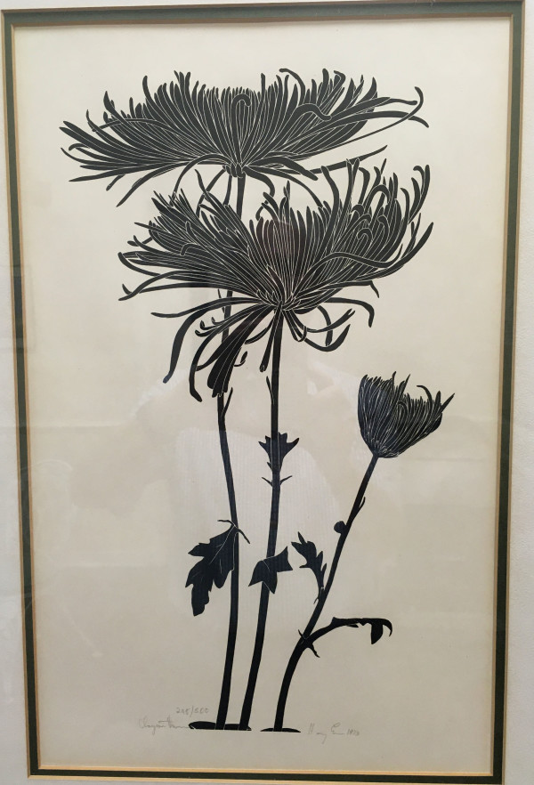 Chrysanthamum by Henry E