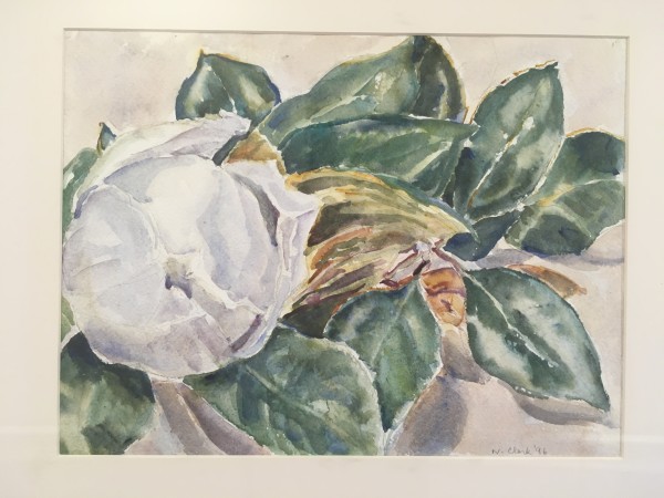 White Magnolia by Nancy Clark
