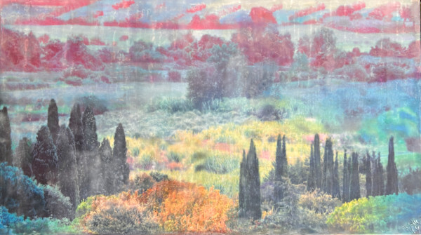 Cypress Dreams by Kristianne Tefft, Image 1.
