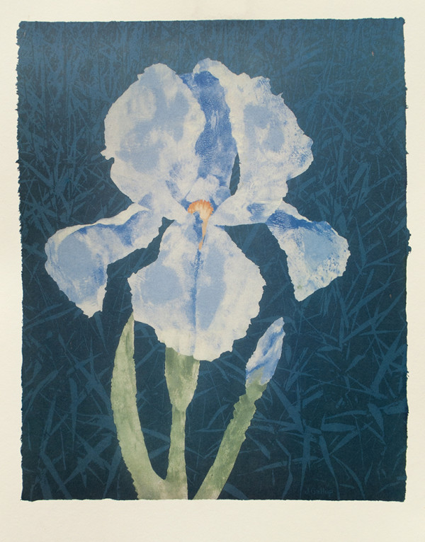 Iris by Janet Gallup