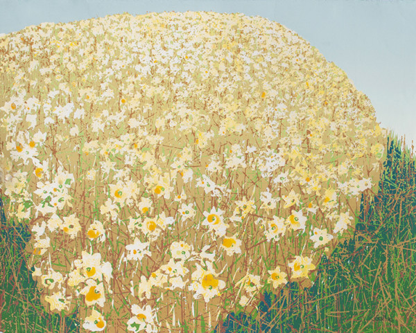 Daffodil Hill by Janet Gallup