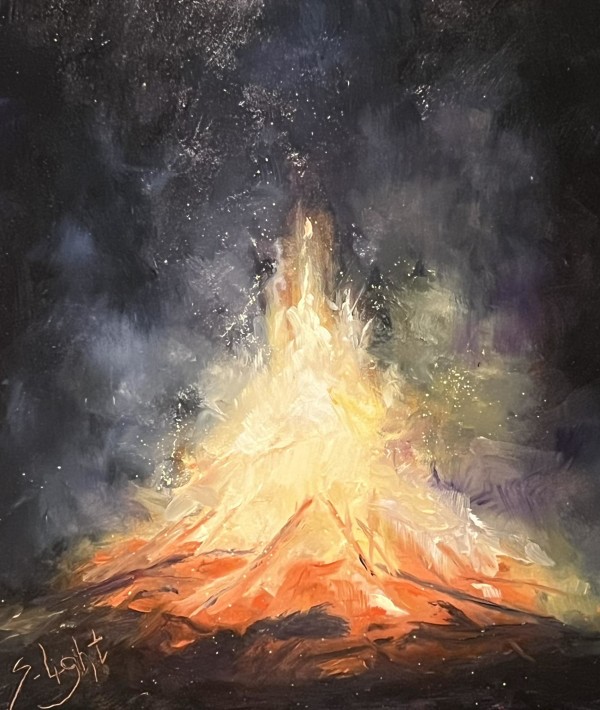 Fire on the Mountain by Shirley  Light