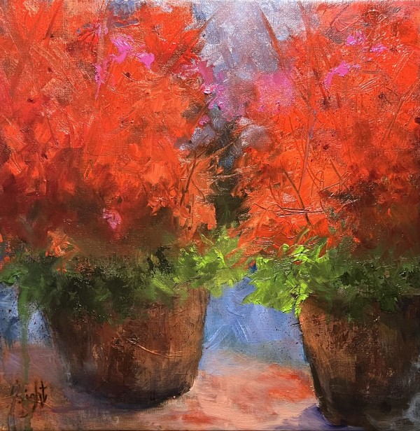 Morning Light by Shirley  Light