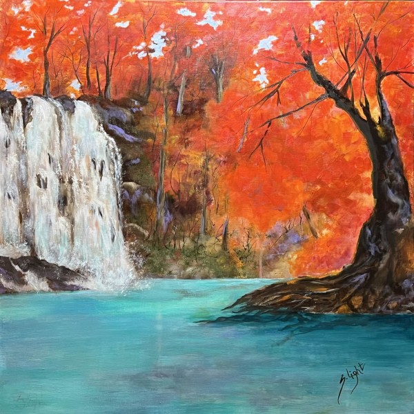 Hideaway Falls by Shirley  Light