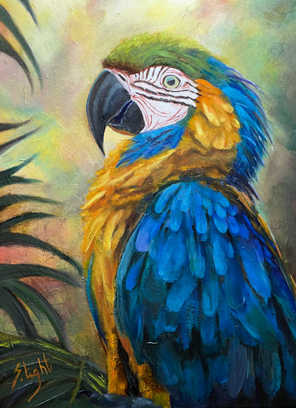 Dignified by Shirley  Light