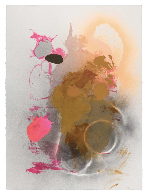 Nature Studies (pink splat, canula shadow) by Bobbi Meier