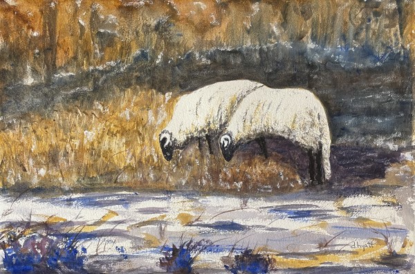 Winter Sheep II by David G. Hyatt