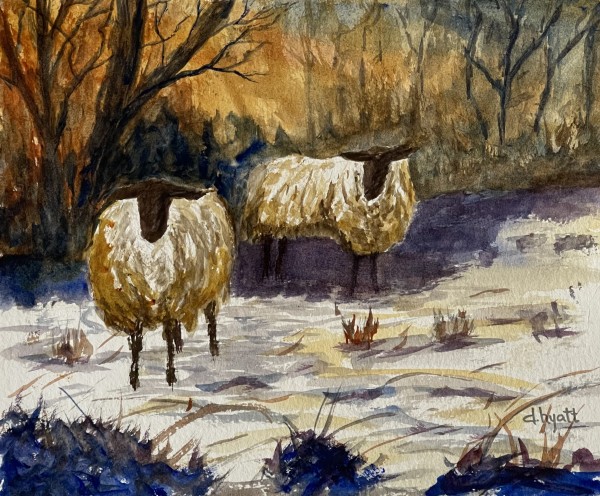 Winter Sheep I by David G. Hyatt