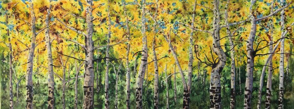 Aspens at Mueller State Park IV by David G. Hyatt