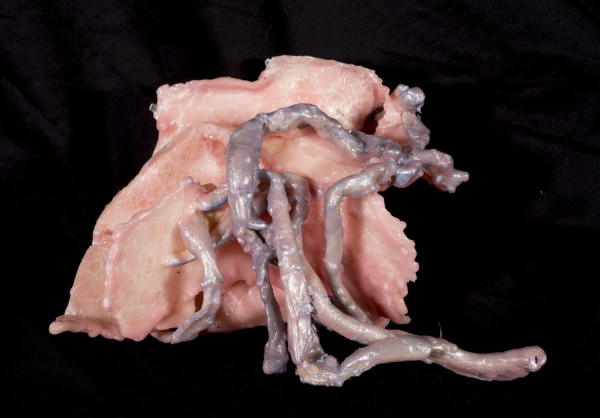 Untitled [Piece from Klados exhibit] by Denyse Wilhelm, Image 2.