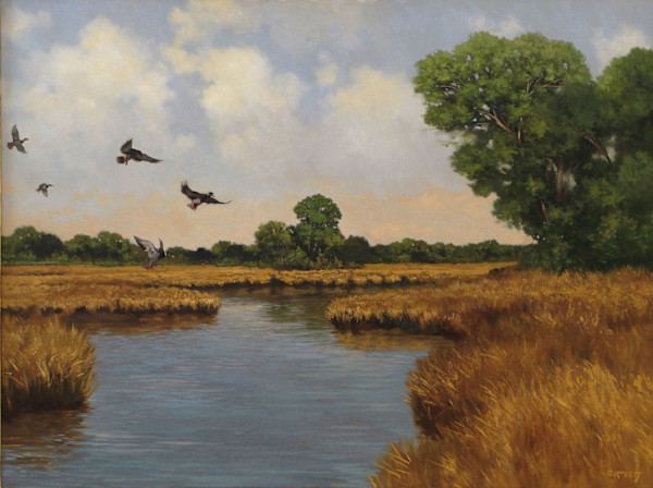 Ducks by Harley Bartlett, Image 1.