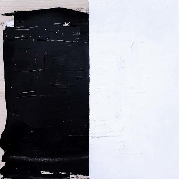 Yin Yang I by Juliet Parks