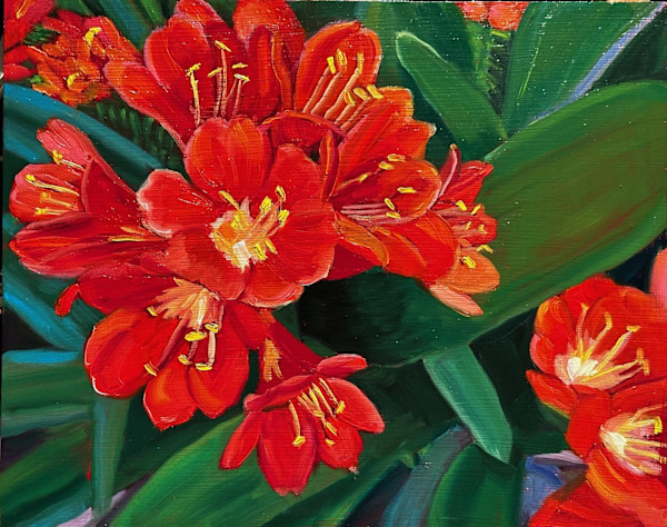 My Garden: Bush Lily by Susan Butterfly-Ebert