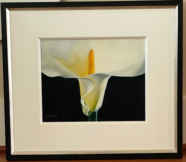Calla Lily by Carol Young