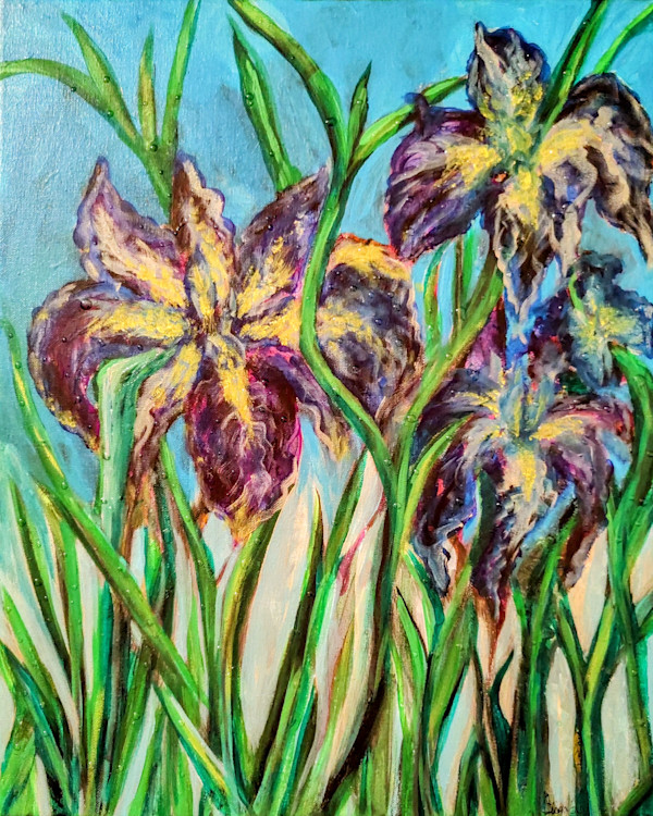 Dewy Iris by Ginger Lou