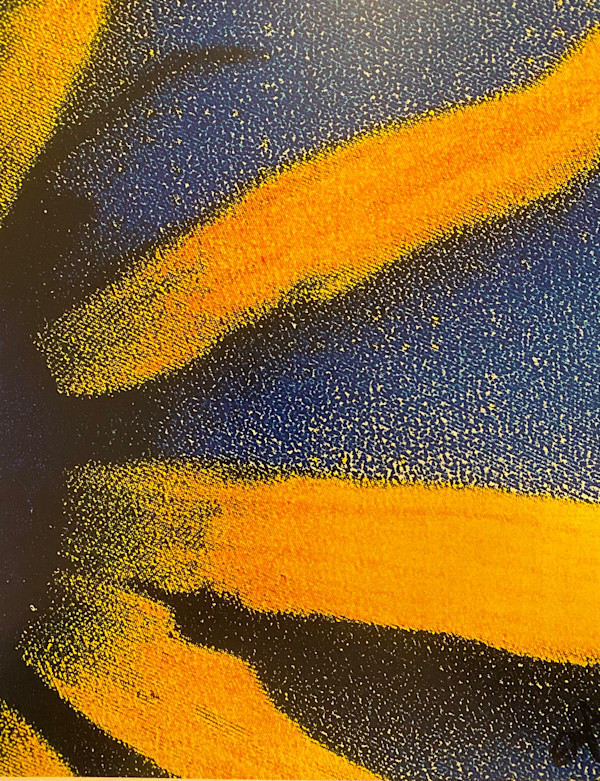 Escape Claws by Eddie Pietrzak, Image 8.
