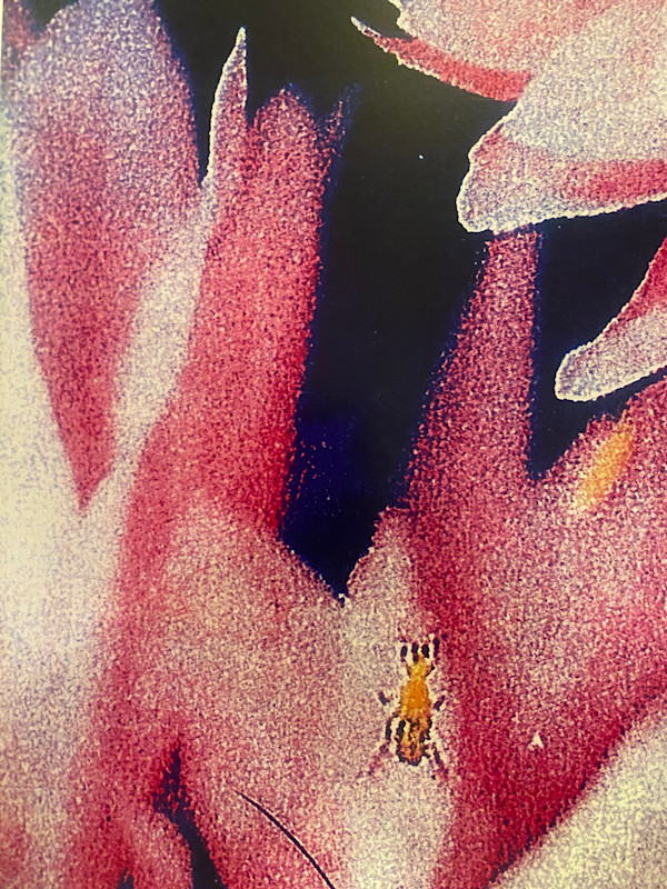 Fine Debug by Eddie Pietrzak, Image 7.