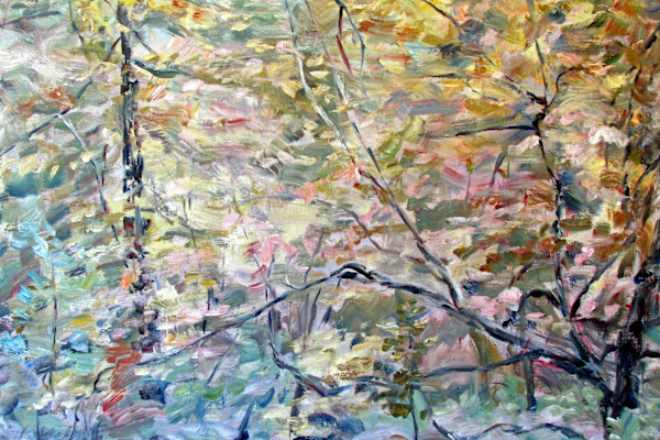 California Autumn by Robert Gerdes