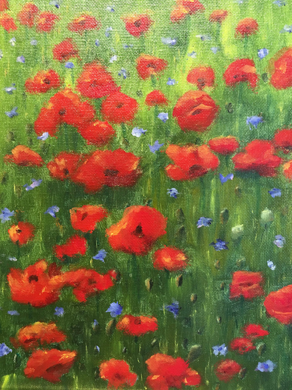 Poppy Fields by Lucinda Swain