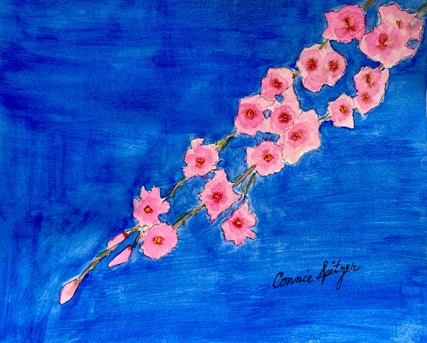 Japanese Cherry Blossoms by Connie Spitzer, Image 1.