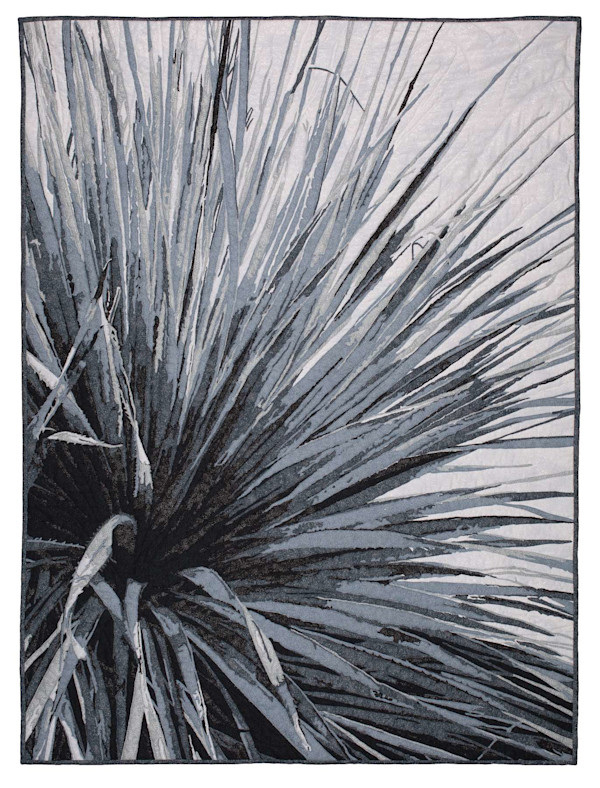 Jubilation by Kathleen McCabe