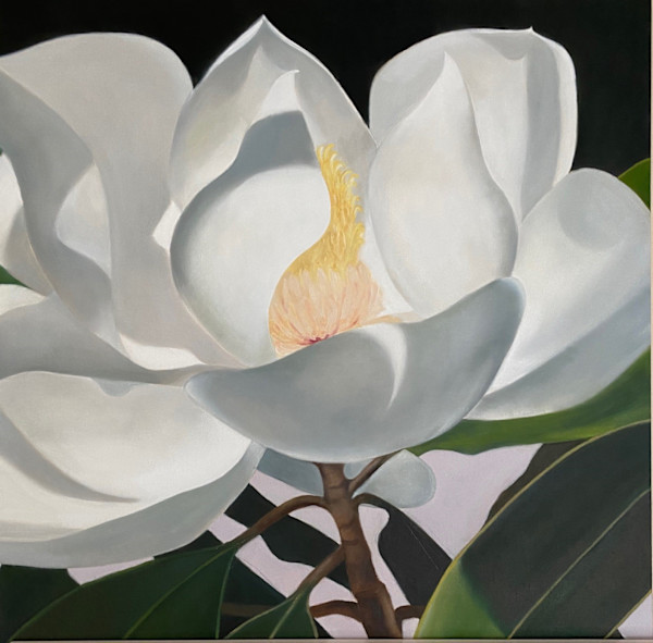 Magnolia #2 by Carol Young