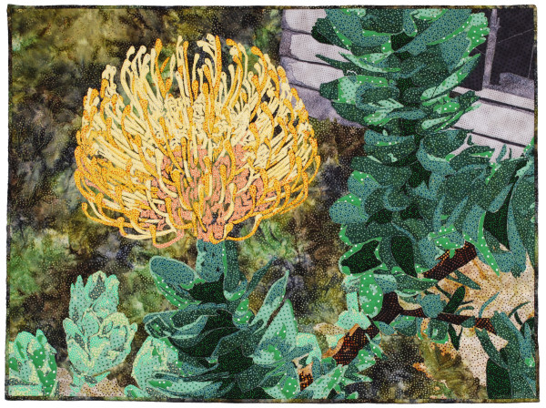 Protea by Kathleen McCabe