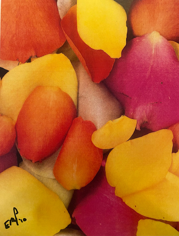 Petals To The Metal by Eddie Pietrzak, Image 1.