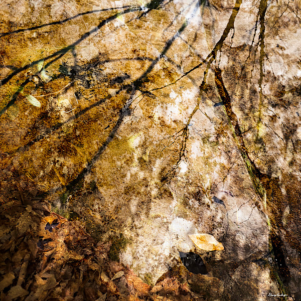 Pond Reflection by George Kunberger