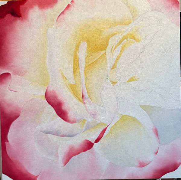 Rose by Carol Young, Image 1.