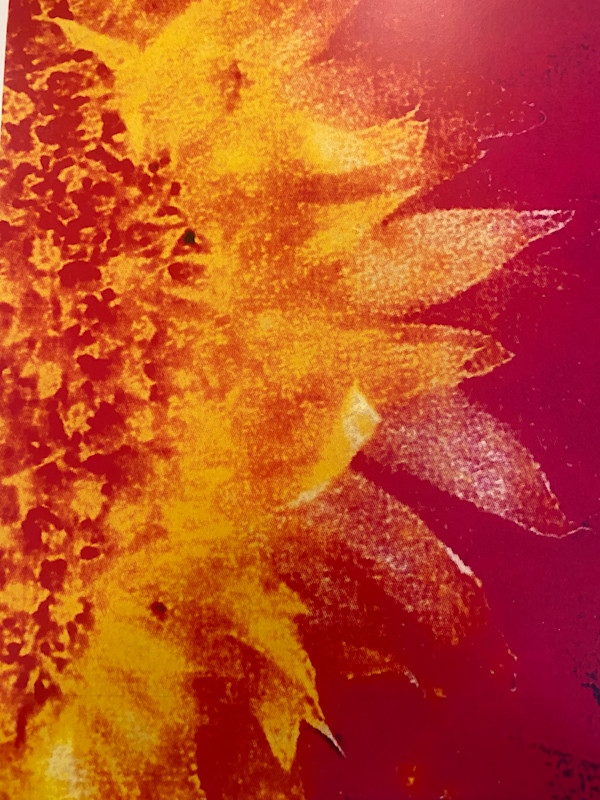 Wheat With Feathers by Eddie Pietrzak, Image 2.
