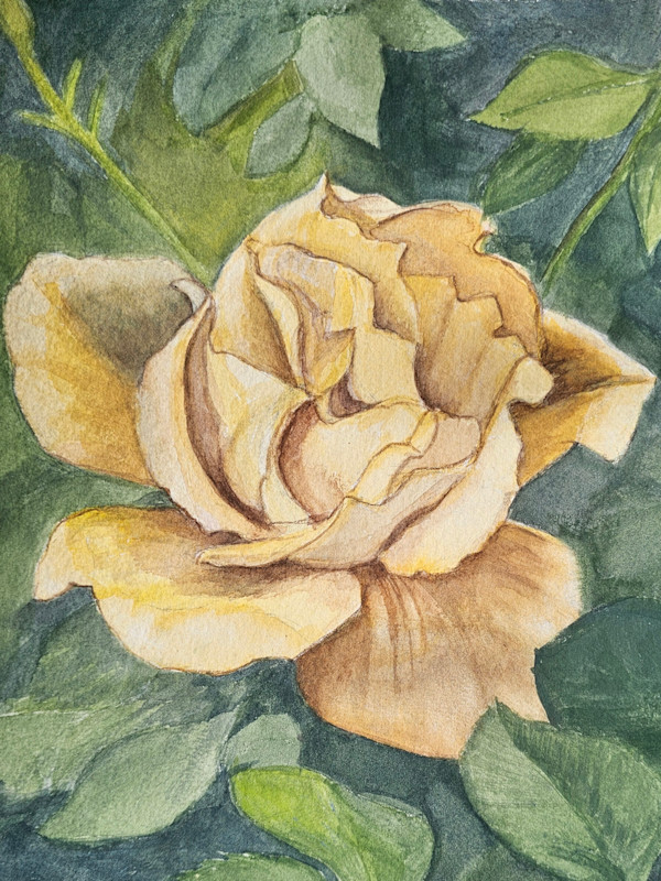 Yellow Rose by Deidre Hamaguchi